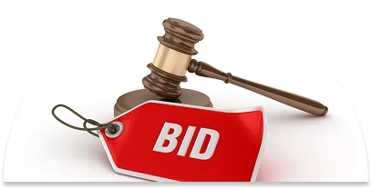 Early Bidding Access